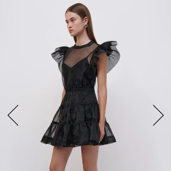 NWT JONATHAN SIMKHAI Monique Sheer Mini Dress - Picture 3 of 12